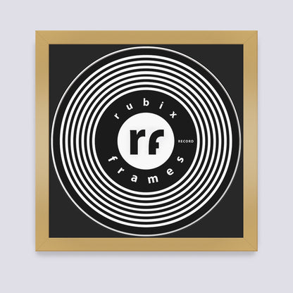Gold Vinyl Record Frame