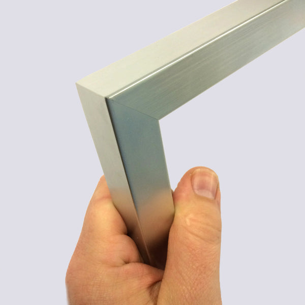 Silver DVD Single or Double Frame