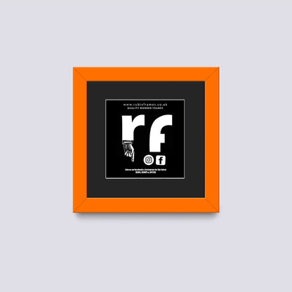 Orange CD Single or Double Frame